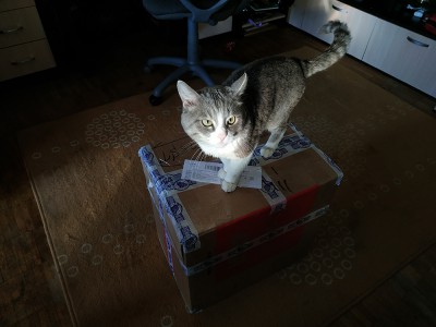 IMG_20200420_175252.jpg (24.65КБ,20818 просмотров) IMG_20200420_175252.jpg