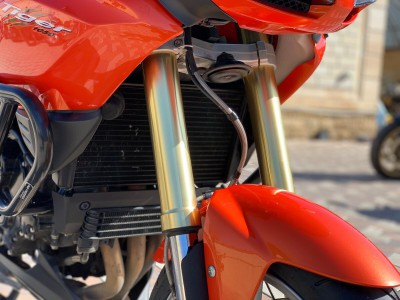 1200x900n-18.jpg (37.74КБ,21300 просмотров) 1200x900n-18.jpg