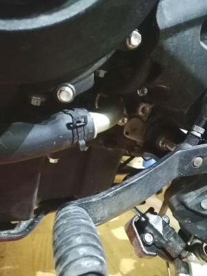 1.jpg (30.22КБ,19549 просмотров) 1.jpg