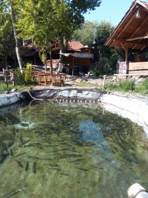 JaXVZn5Qjrc.jpg (346.7КБ,14008 просмотров) JaXVZn5Qjrc.jpg