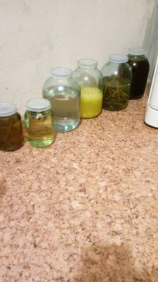 -wOdxt7YezM.jpg (100.71КБ,25980 просмотров) -wOdxt7YezM.jpg