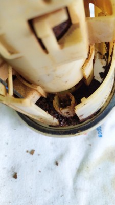 4D15D6F5-68DC-4BFD-9DE0-738A09795F45.jpeg (22.6КБ,7090 просмотров) 4D15D6F5-68DC-4BFD-9DE0-738A09795F45.jpeg