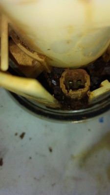 346669B1-3D63-4E77-B325-A755B129F504.jpeg (16.45КБ,6374 просмотра) 346669B1-3D63-4E77-B325-A755B129F504.jpeg