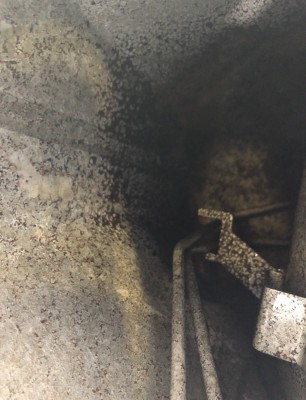 F881CE05-02FF-4147-9C88-A8CB3BDADF45.jpeg (261.91КБ,6340 просмотров) F881CE05-02FF-4147-9C88-A8CB3BDADF45.jpeg