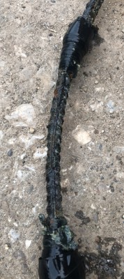 C837C480-DC4F-4D62-A507-D1979A33ECCC.jpeg (534.73КБ,7042 просмотра) C837C480-DC4F-4D62-A507-D1979A33ECCC.jpeg