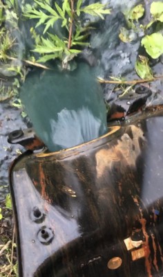 A74E34EC-13D3-45F3-91AB-29D42E6997C2.jpeg (32.44КБ,6326 просмотров) A74E34EC-13D3-45F3-91AB-29D42E6997C2.jpeg