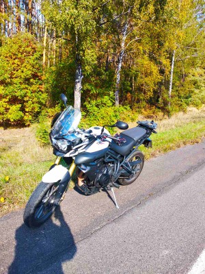 мот.jpg (248.02КБ,27435 просмотров) мот.jpg